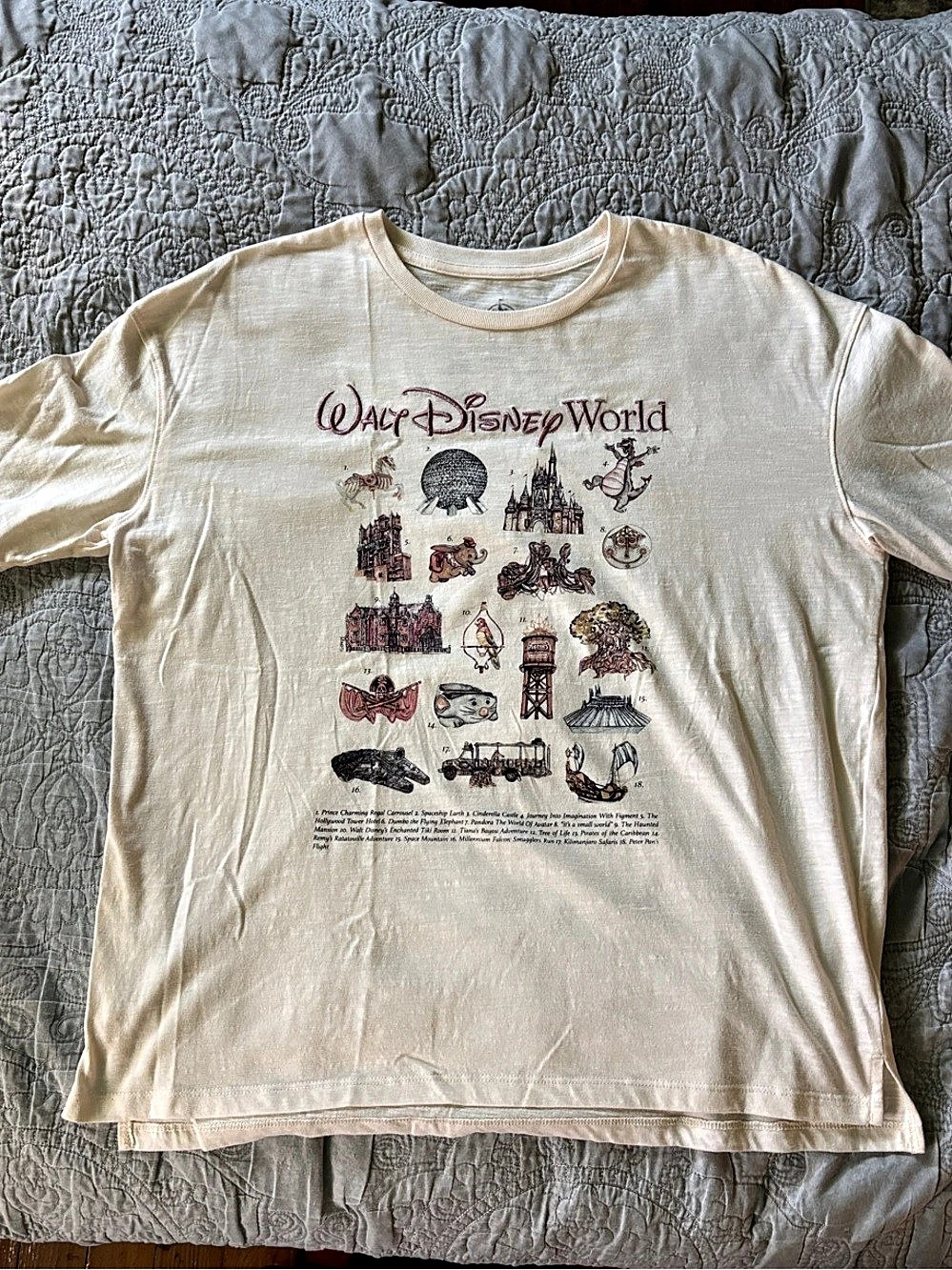 Disney Walt Disney World graphic tee